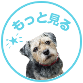もっと見る