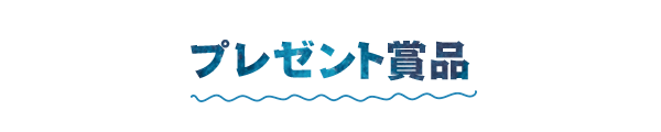 プレゼント賞品